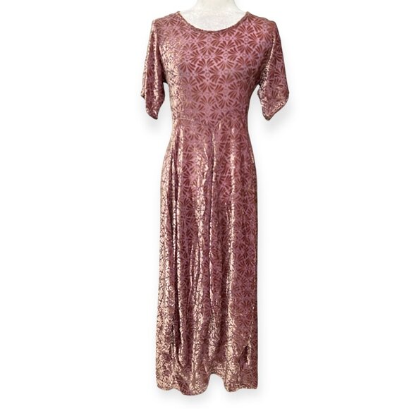 Vintage Velvet Burnout Maxi Dress by Jane Mohr for DTK Pink Floral Gown M-L Boho - Picture 1 of 8